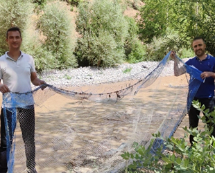 Van'da kaçak avlanılan sıraz balıklarına el konuldu