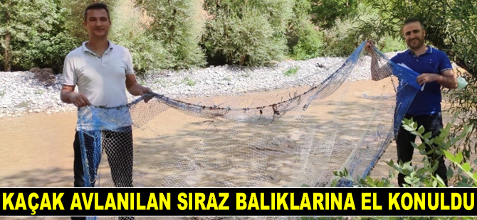 Van'da kaçak avlanılan sıraz balıklarına el konuldu