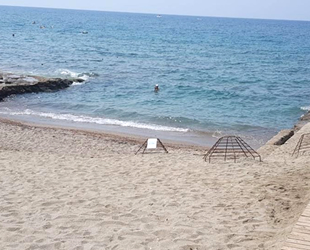 Alanya'da caretta carettalar denizle buluştu