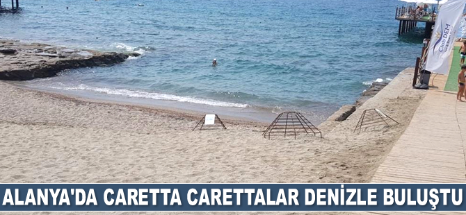 Alanya'da caretta carettalar denizle buluştu