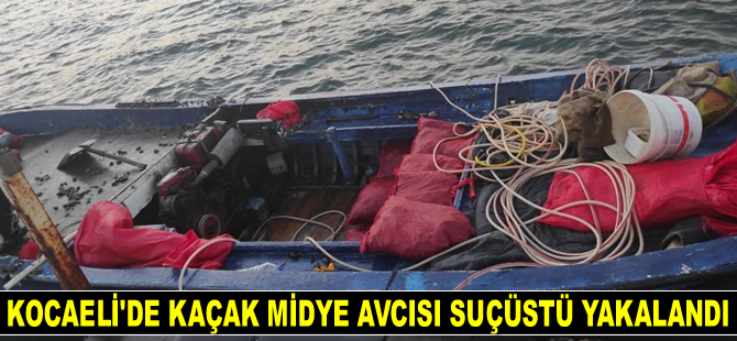 Kocaeli’de kaçak midye avcısı suçüstü yakalandı