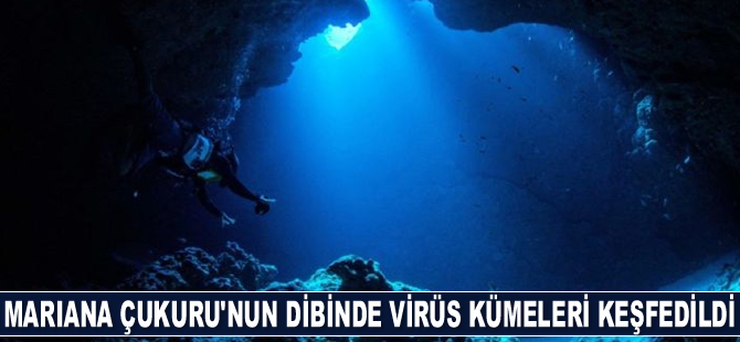 Mariana Çukuru'nun dibinde virüs kümeleri keşfedildi