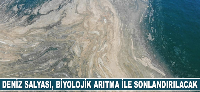 Deniz salyası, biyolojik arıtma ile sonlandırılacak