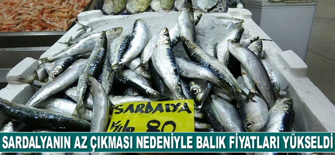 Tezgahlarda balık fiyatları yükseldi