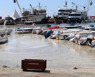 Marmara Denizi’nde ‘av sezonu ertelensin’ çağrısı yapıldı