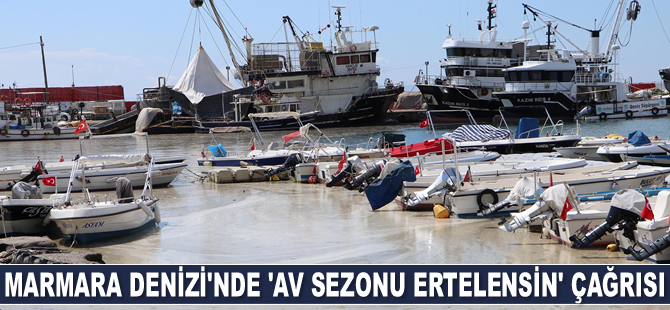 Marmara Denizi’nde ‘av sezonu ertelensin’ çağrısı yapıldı