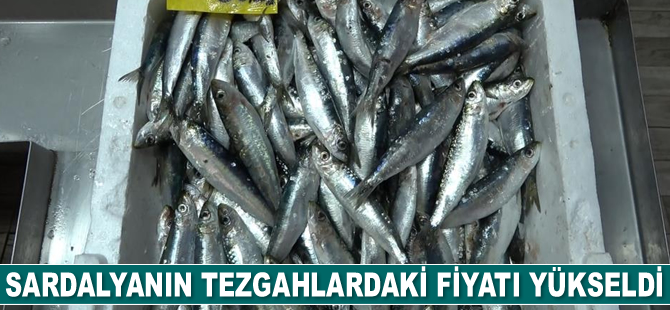 Sardalyanın tezgahlardaki fiyatı yükseldi