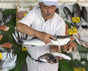 Kıyılarda yavru balık bolluğu yaşanıyor