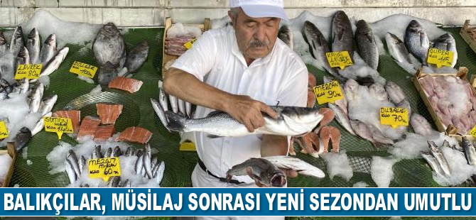 Kıyılarda yavru balık bolluğu yaşanıyor