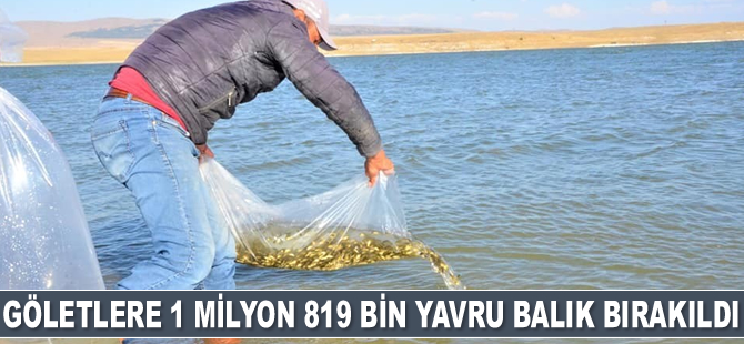 Göletlere 1 milyon 819 bin adet yavru balık bırakıldı