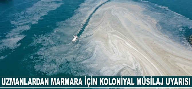 Uzmanlar, Marmara için koloniyal müsilaj uyarısı yaptı