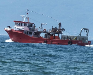 Resifler, Edremit Körfezi’nde balık çeşidini ve sayısını artıracak