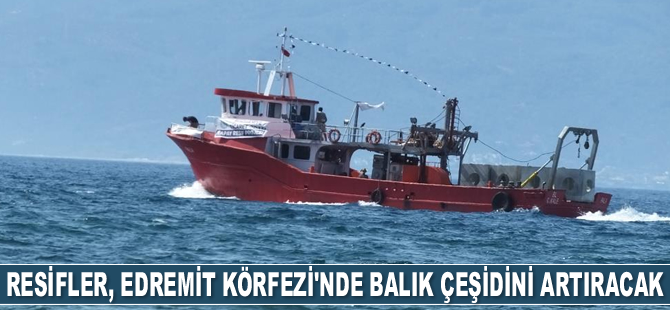 Resifler, Edremit Körfezi’nde balık çeşidini ve sayısını artıracak