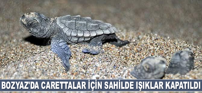 Bozyazı’da caretta carettalar için sahilde ışıklar kapatıldı
