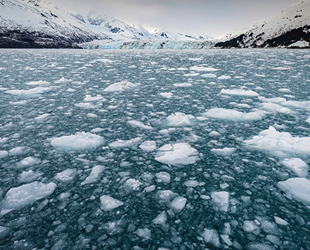 Arktik deniz buzunun kalbi bu yaz tamamen eriyebilir