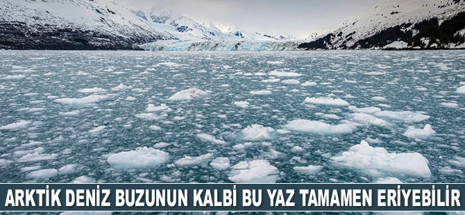 Arktik deniz buzunun kalbi bu yaz tamamen eriyebilir