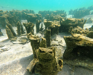 Van Gölü'nde yeni mikrobiyalitler keşfedildi