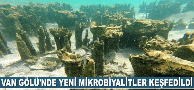 Van Gölü'nde yeni mikrobiyalitler keşfedildi