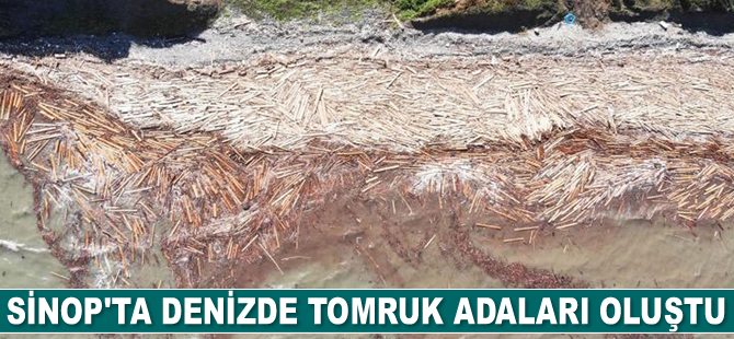 Sinop’ta denizde tomruk adaları oluştu