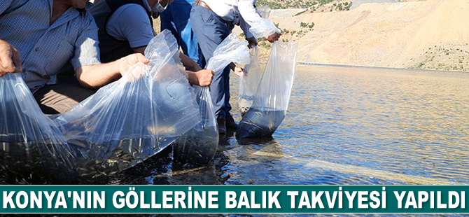 Konya'daki 21 göl ve gölete 1 milyon yavru sazan balığı bırakıldı