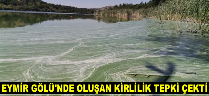 Eymir Gölü’nde oluşan kirlilik tepki çekti