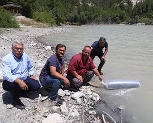 Kolak Gölü’ne 10 bin adet yavru sazan balığı bırakıldı