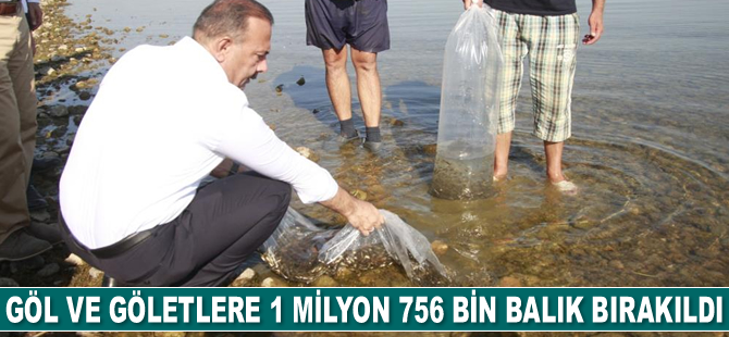 Bursa’da göl ve göletlere 1 milyon 756 bin adet balık bırakıldı