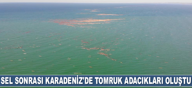 Karadeniz’de tomruk adacıkları oluştu