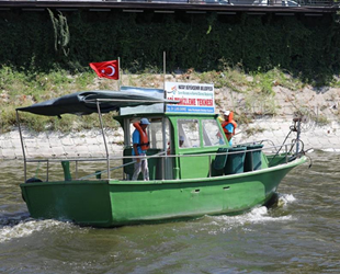 Asi Nehri’ndeki su sümbülleri temizleniyor