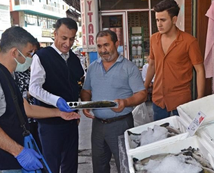 Batman’da balık satış tezgahlarında denetim yapıldı