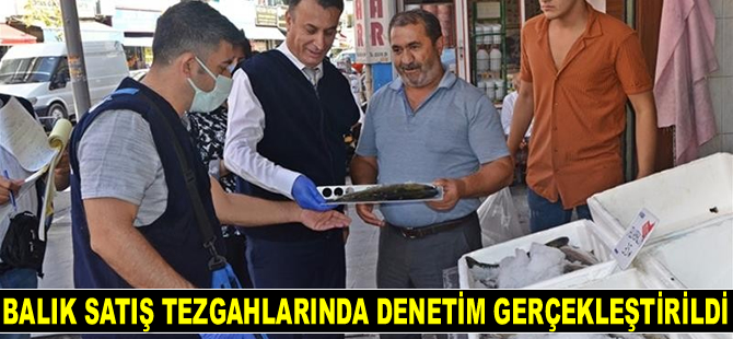 Batman’da balık satış tezgahlarında denetim yapıldı
