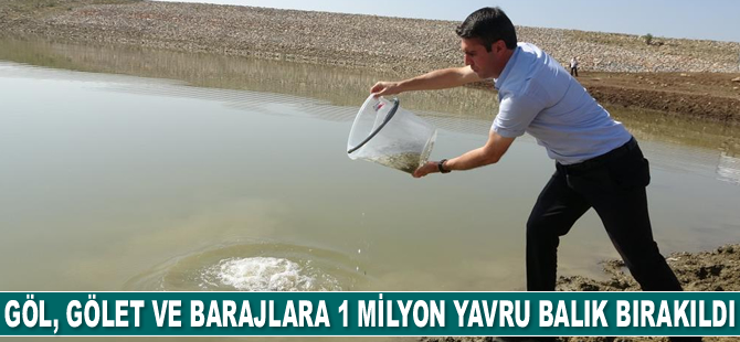 Muş’ta göl, gölet ve barajlara 1 milyon 281 bin yavru balık bırakıldı