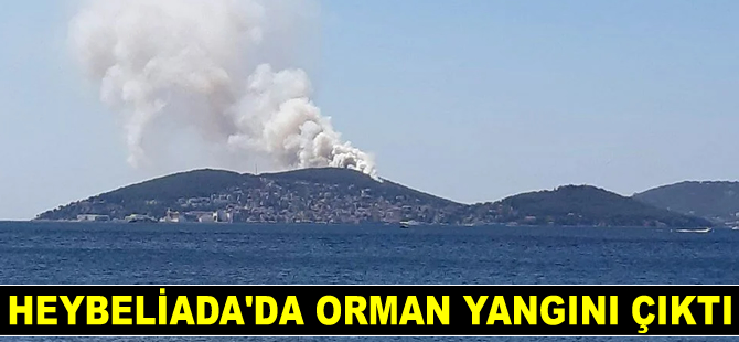 Heybeliada’da orman yangını çıktı