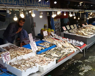 Trabzon’da çingene palamudu balıkçıları üzdü