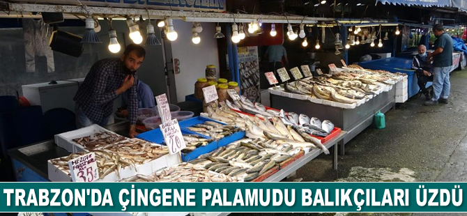 Trabzon’da çingene palamudu balıkçıları üzdü