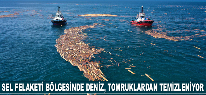 Sel felaketi bölgesinde deniz, tomruklardan temizleniyor