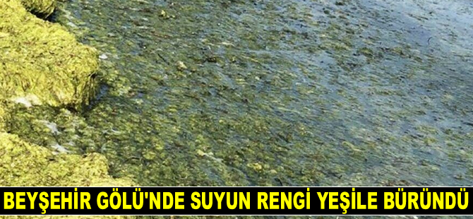 Beyşehir Gölü'nde suyun rengi yeşile büründü