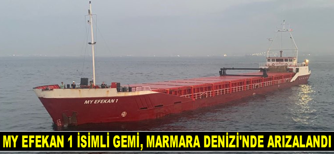 MY EFEKAN 1 isimli gemi, İstanbul Boğazı girişinde arızalandı