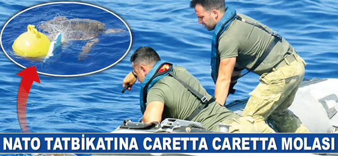 NATO tatbikatına yavru caretta caretta molası verildi
