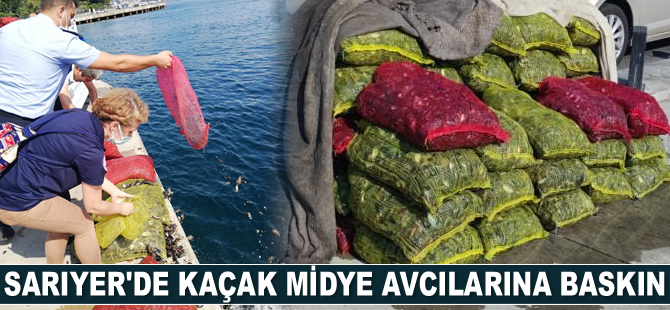 Sarıyer’de kaçak midye avcılarına ceza yağdı