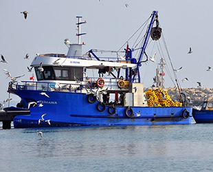 Marmara Denizi'nde dökme avcılık yasaklandı