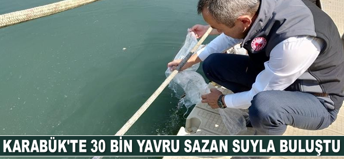 Karabük’te 30 bin adet yavru sazan suyla buluştu