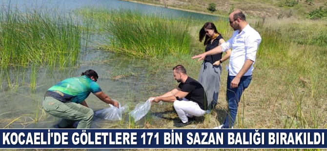 Kocaeli’de göletlere 171 bin adet sazan balığı bırakıldı