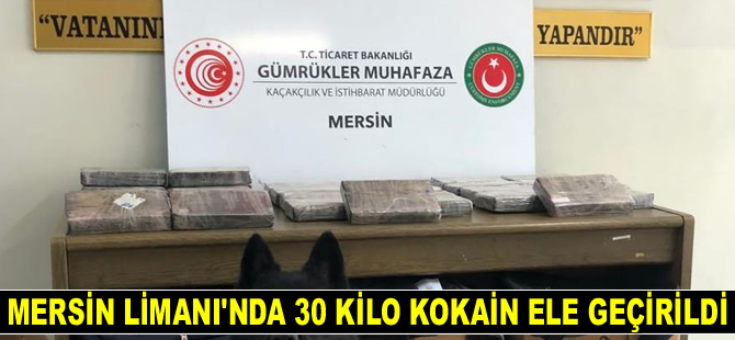 Mersin Limanı’nda 30 kilo kokain ele geçirildi