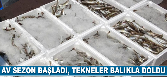 Av sezon başladı, tekneler balıkla doldu