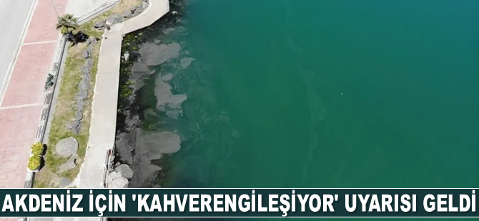 Akdeniz için 'kahverengileşiyor' uyarısı geldi