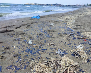 Samandağ sahillerine petrol sızıntısı vurdu