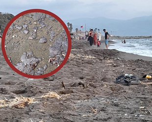 Hatay'da denizdeki kirlilik ile ilgili inceleme başlatıldı