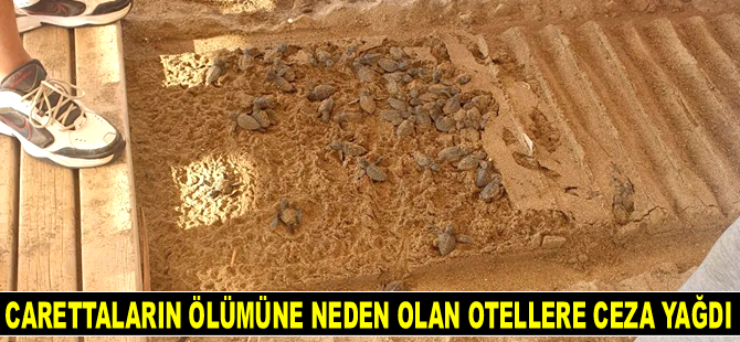 Antalya'da carettaların ölümüne neden olan otellere 482 bin TL para cezası kesildi