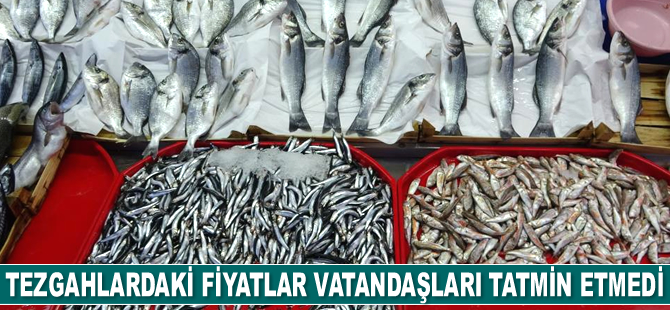 Balıkçılar, gözünü palamuta çevirdi